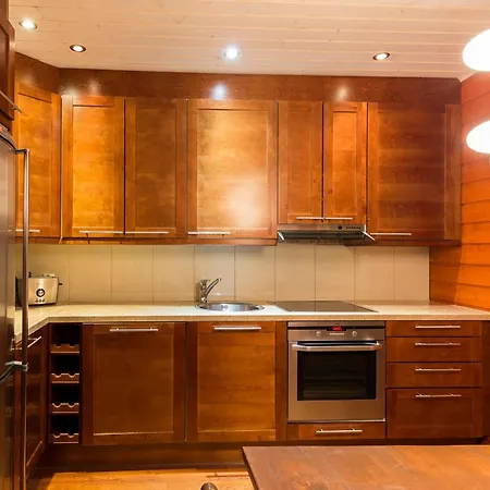 Isokarhu 1 Visit Levi